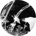 Avatar de ztample Avatar de ztample