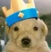 Avatar de joseandobitcoin Avatar de joseandobitcoin